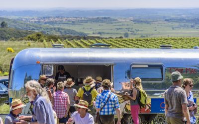 Wines, Vines and Terroir, a great ride in Pézenas appellation