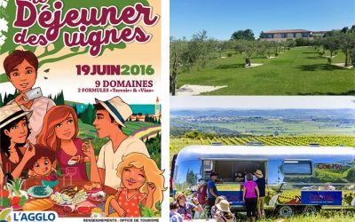 Le Déjeuner dans les vignes dimanche 19 Juin Pique nique sur l’herbe et balade dans les vignes