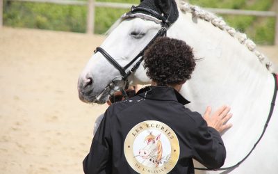 Urtigao, un Pur Sang Lusitanien fait son entrée aux écuries de l’olivier à Montagnac